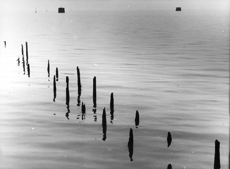 Muelle Río de la Plata